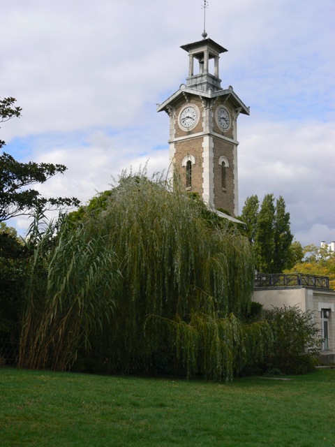 Quartiers de Paris Saule pleureur Parc Georges Brassens / Photo ODL