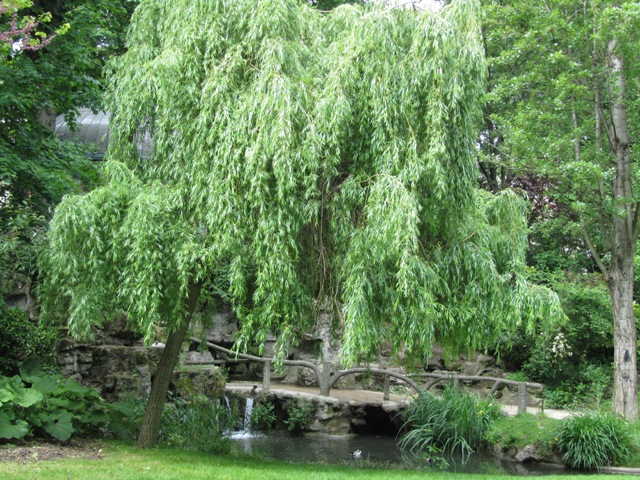 Square des Batignolles