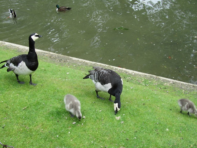 Square des Batignolles