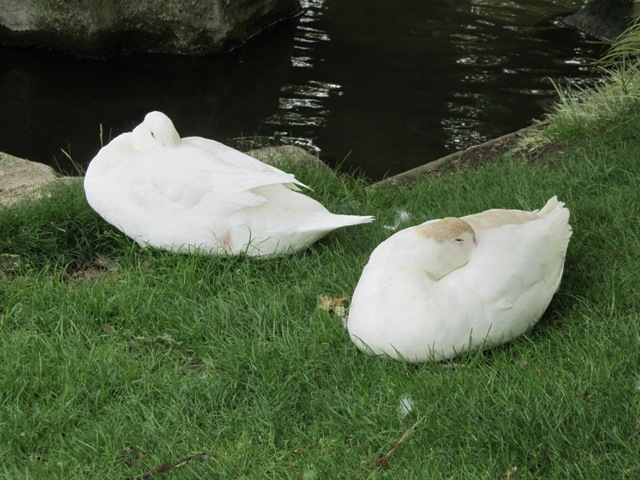 Square des Batignolles