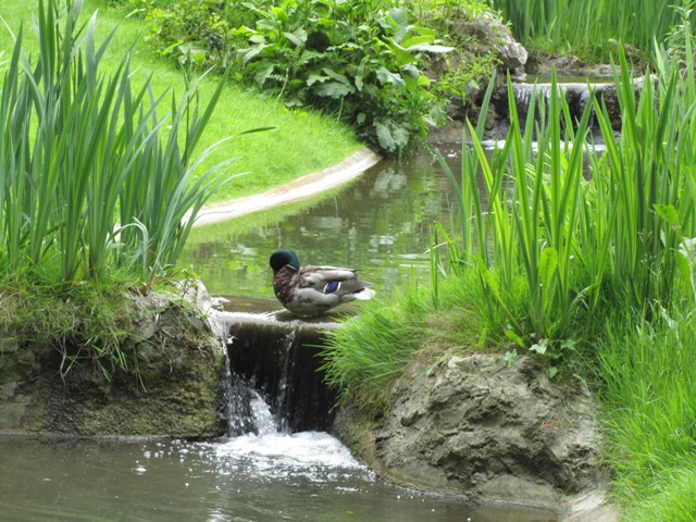 Square des Batignolles