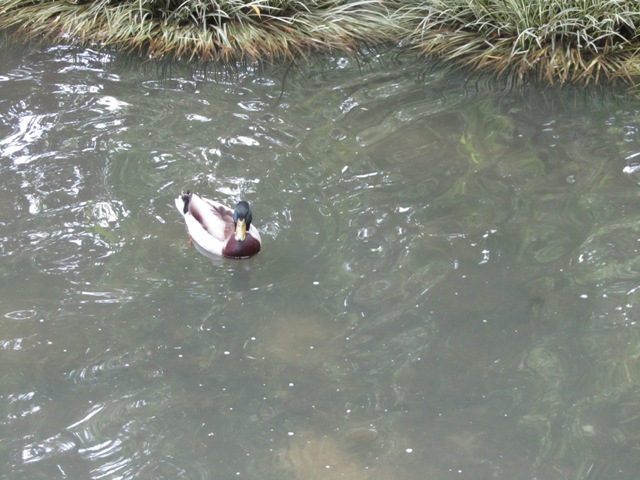 Square des Batignolles