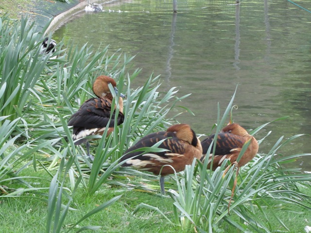 Square des Batignolles