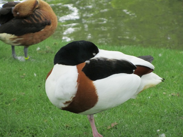Square des Batignolles