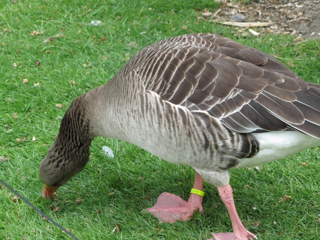 Square des Batignolles