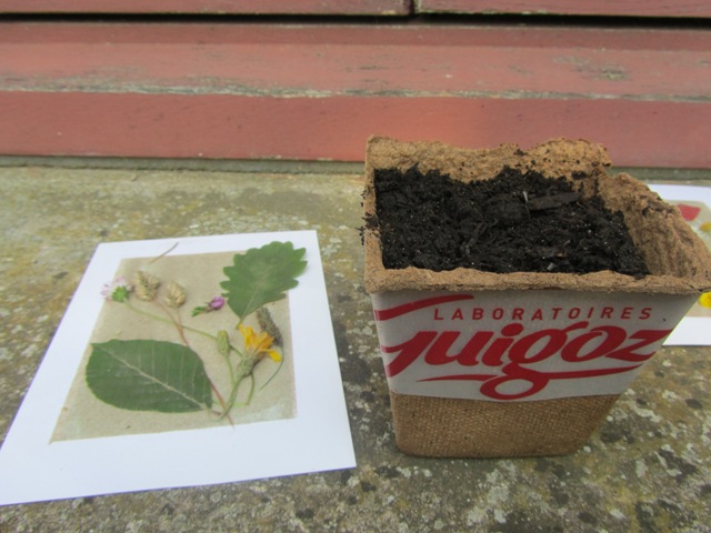 BALADE EN FORET DE FONTAINEBLEAU