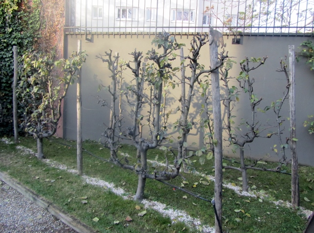 La Manufacture Design Saguez and Partners