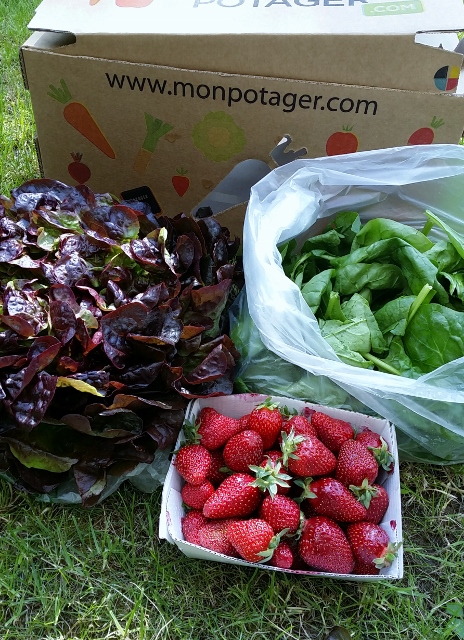 Monpotager.com