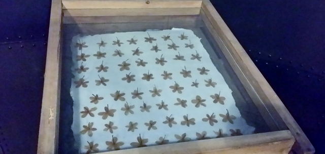 Musée du Parfum Fragonard