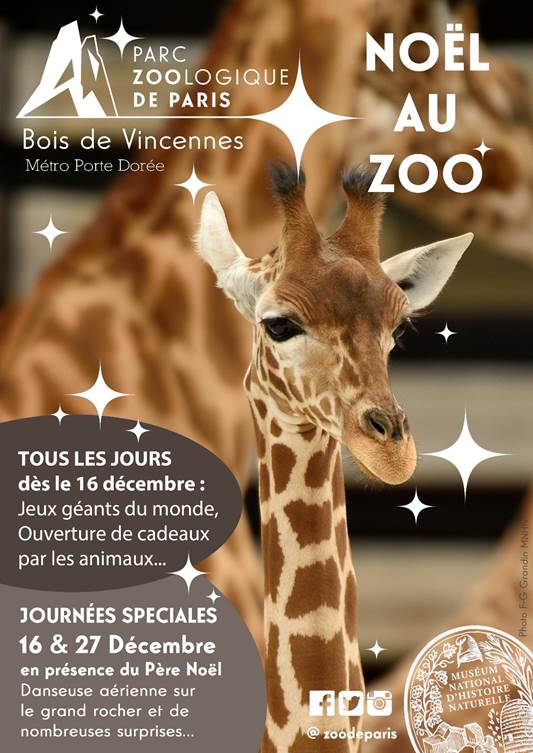 Noël au zoo vacances de Noël 