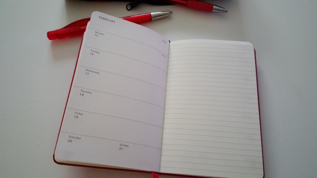 Agenda Peanuts Moleskine (6)