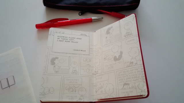 Agenda Peanuts Moleskine (8)