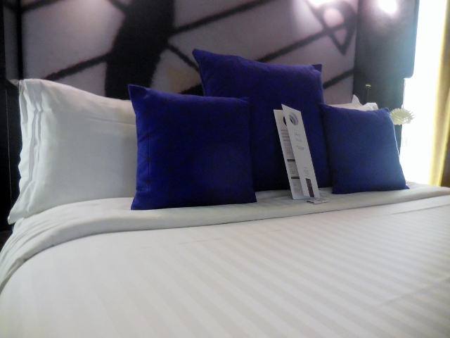 Hôtel de Sers Chambre (15)