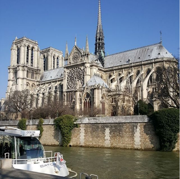 Instagram Mars 2016 J'ai deux amours (3)