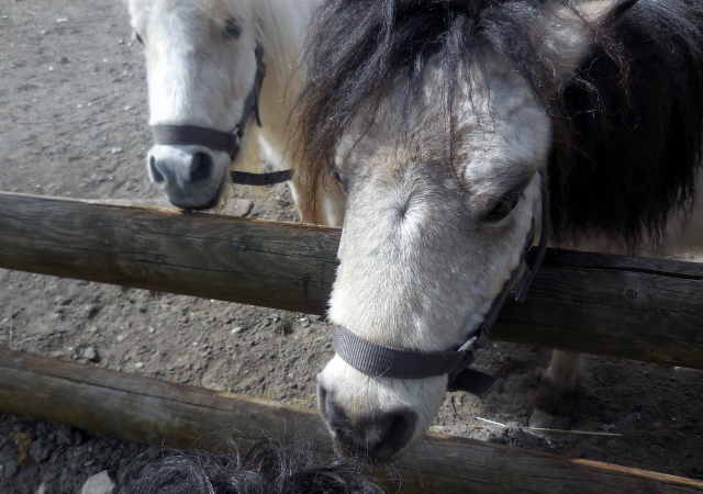 La Mer de Sable (17)