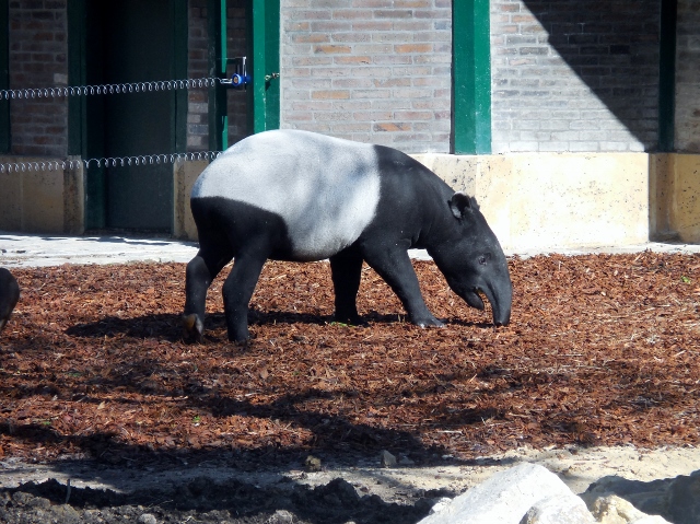 La Ménagerie Le Zoo du Jardin des Plantes (1)