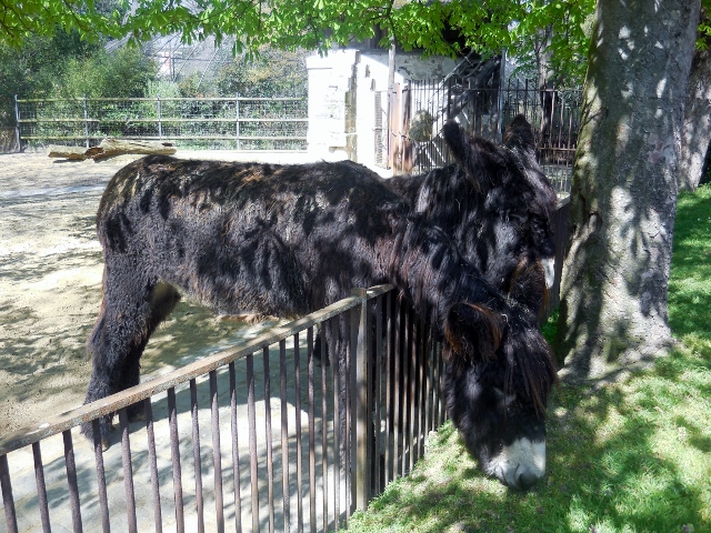 La Ménagerie Le Zoo du Jardin des Plantes (16)