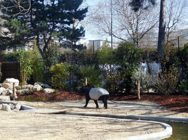 La Ménagerie Le Zoo du Jardin des Plantes (6)