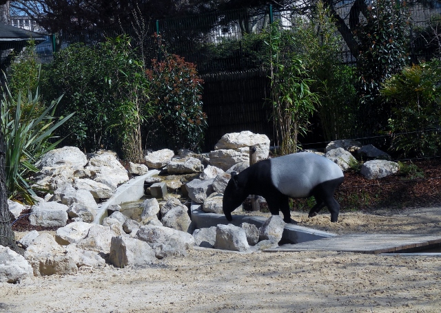La Ménagerie Le Zoo du Jardin des Plantes (7)