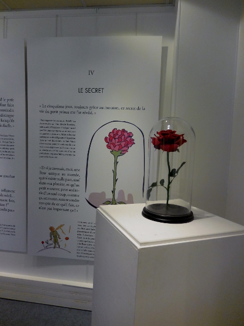 Le Petit Prince à Paris Mairie du 5ème arrondissement (7)