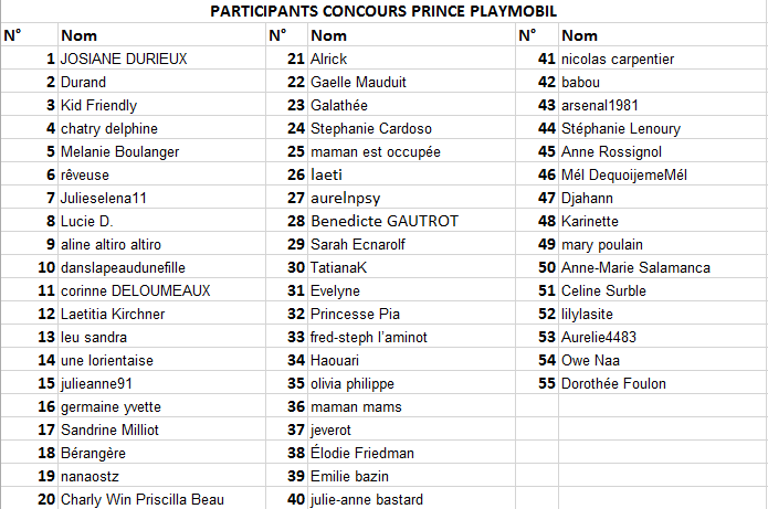 20160522 CONCOURS PRINCE PLAYMOBIL (1)