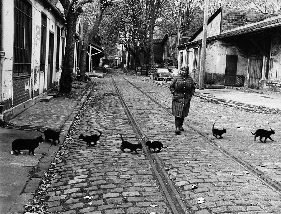 Bercy par Robert Doisneau Les chats de Bercy, Paris 1974 BD