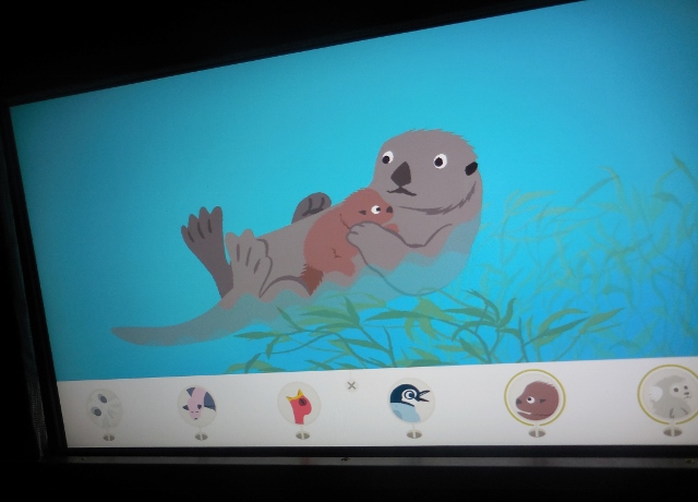 Bébés animaux (10)