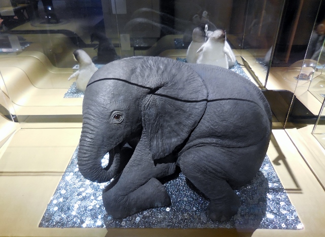 Bébés animaux (23)