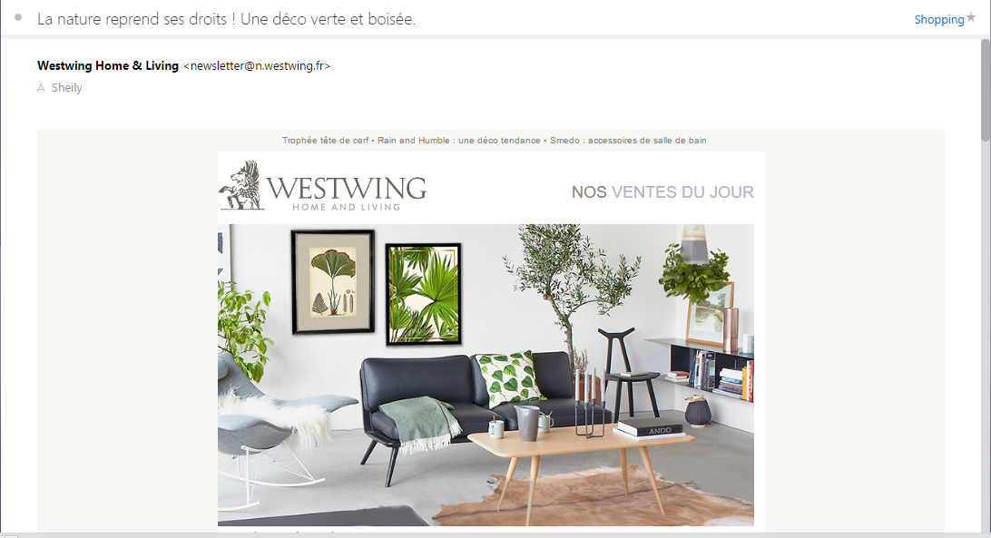 Faire des économies sur Internet (1) Ventes privées