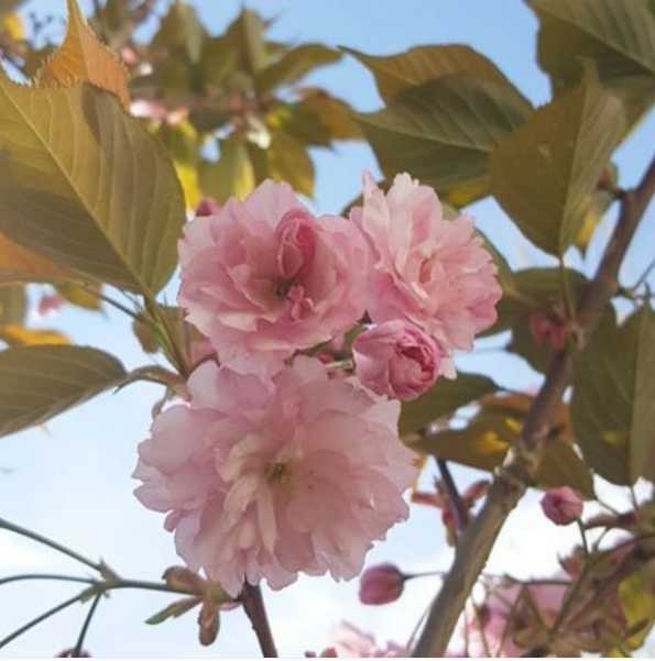 Top 5 Instagram Avril 2016 (4)