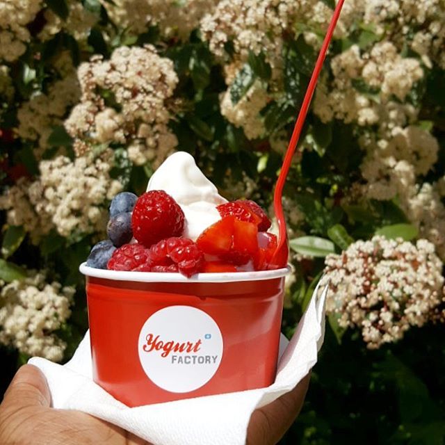 Yogurt Factory Glace