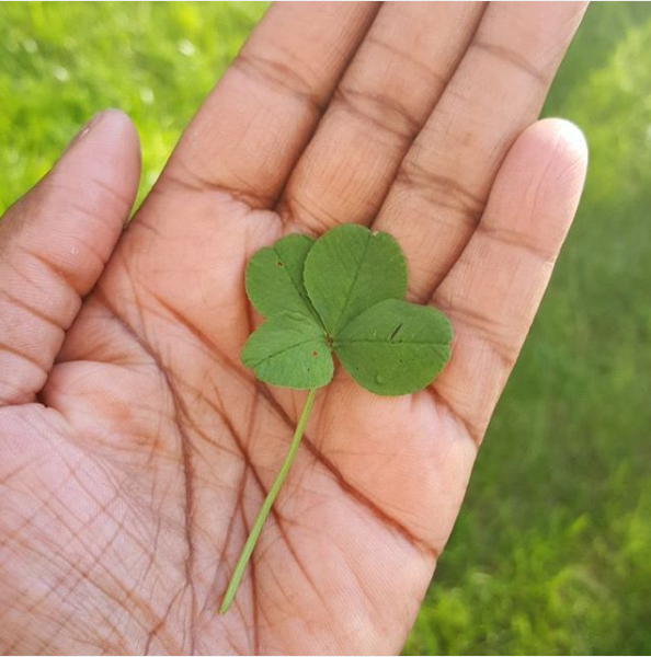 Top 10 Instagram Mai 2016 (6)