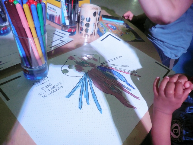 Aquarium de Paris Mon coloriage d'anime (4)