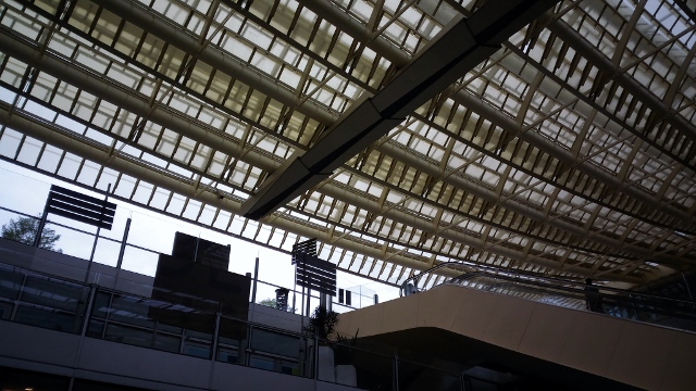 Forum des Halles Unexpected Food (1)