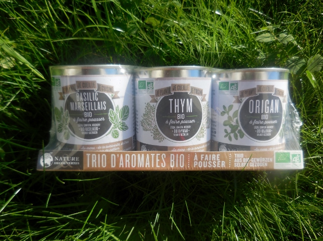 Shopping estival So Ouest (1)