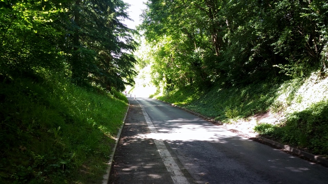 Asus Zenfone Max (13)