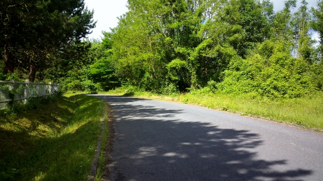 Asus Zenfone Max (14)