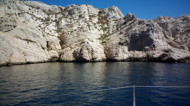 Asus Zenfone Max (3)