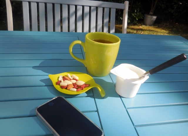 City Green mobilier meubles terrasses jardins (8)