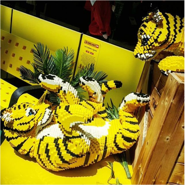 Top 10 Instagram Juillet 2016 (5)