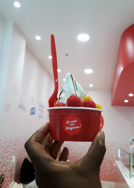 shopping-danniversaire-a-so-ouest-yogurt-factory-2