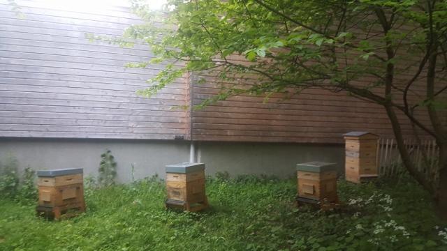 La Fondation GoodPlanet-Domaine de Longchamp