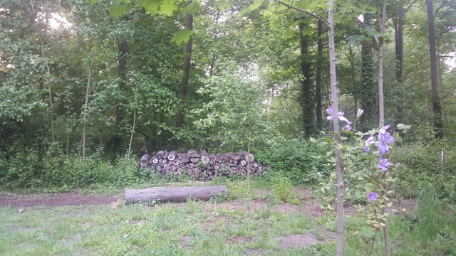 La Fondation GoodPlanet-Domaine de Longchamp