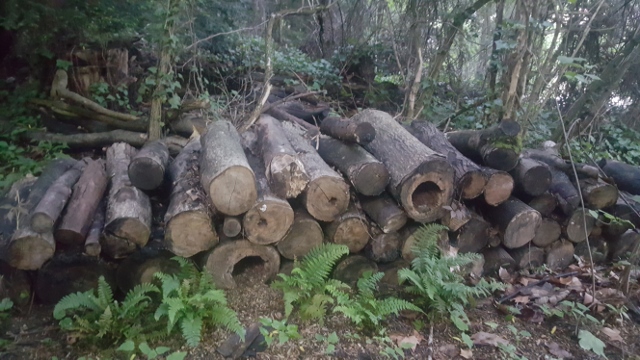 La Fondation GoodPlanet-Domaine de Longchamp