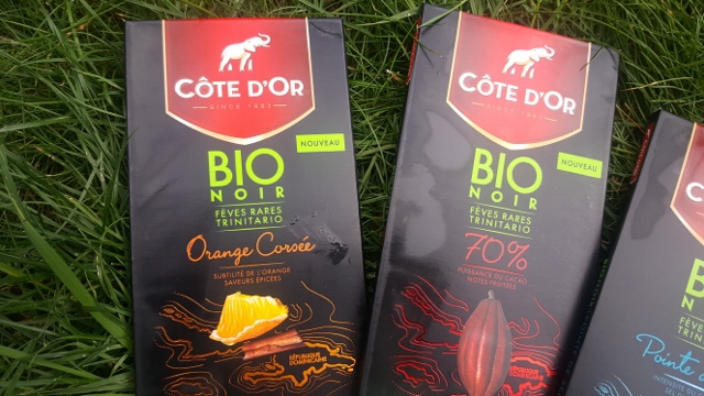 Chocolat Côte d'or bio noir