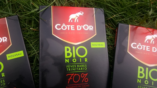 Chocolat Côte d'or bio noir