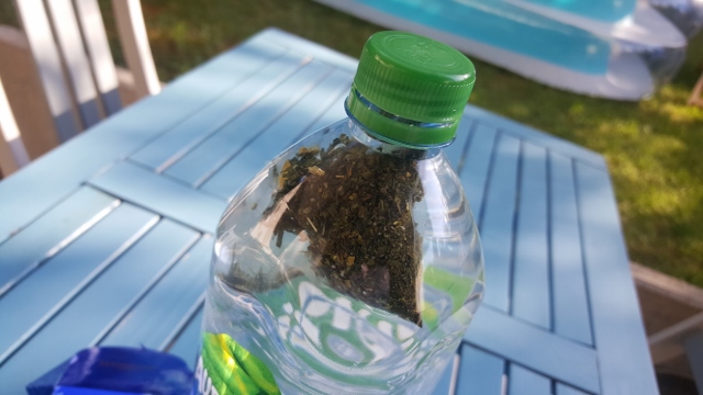 Thé Glacé Touareg Dammann Frères