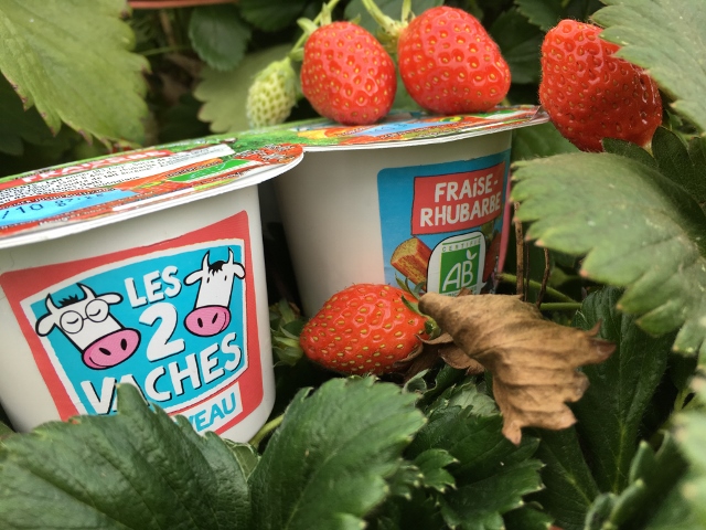 Yaourts bio Les 2 Vaches