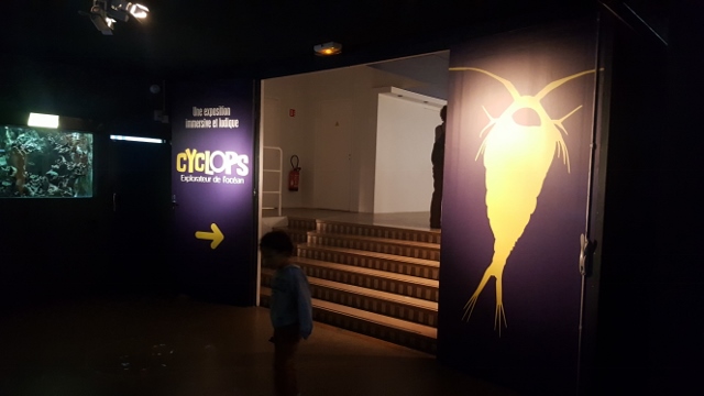 Cyclops à L'Aquarium Tropical