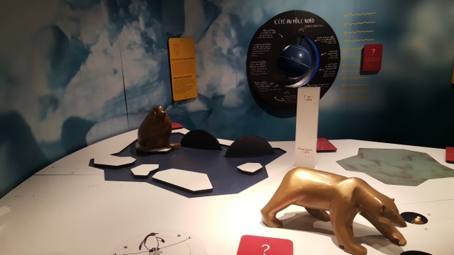 Cyclops à L'Aquarium Tropical